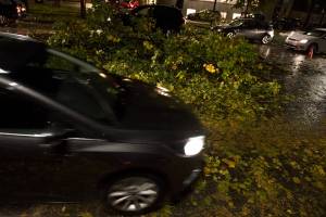 Maltempo, allerta in tutta Italia 6 morti sotto alberi e cornicioni